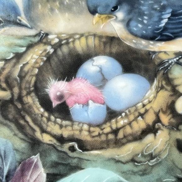 Pair of Lenia Liu Porcelain Plates Tender Lullaby Song of Promise Baby Birds - Picture 6 of 13